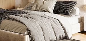Bed Bugs